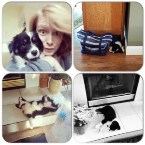 File Aug 03, 2 46 41 PM